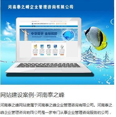 【焦作網(wǎng)站開發(fā)實(shí)力排行榜/網(wǎng)站開發(fā)實(shí)力哪家強(qiáng)/高端網(wǎng)站建設(shè)公司】價(jià)格,廠家,網(wǎng)站建設(shè)-搜了網(wǎng)